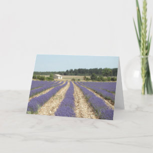 Tarjeta Campo de la lavanda en Provence