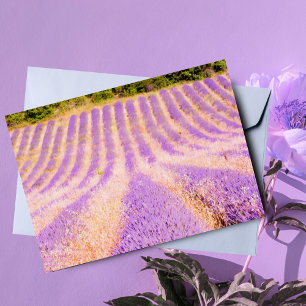 Tarjeta Campo de lavanda Provenza Francia Interior en blan
