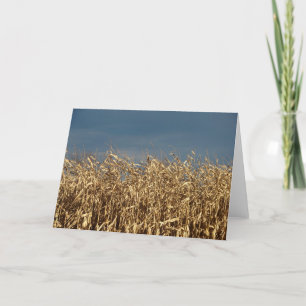 Tarjeta Campo de maíz