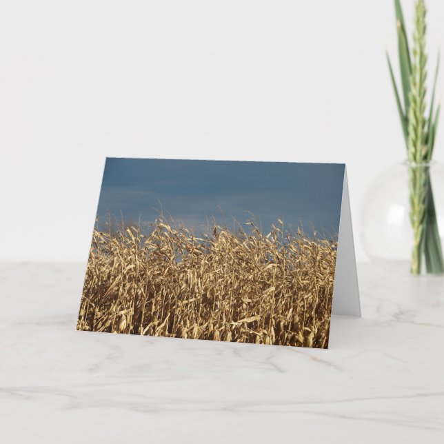 Tarjeta Campo de maíz (Anverso)