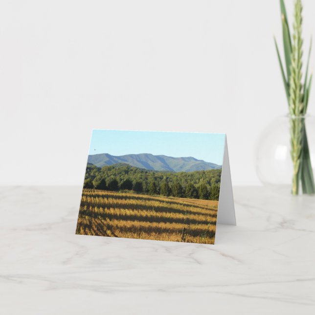 Tarjeta Campo de maíz (Anverso)