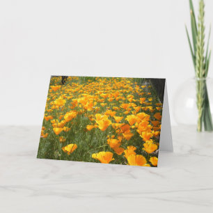 Tarjeta Campo de sueños