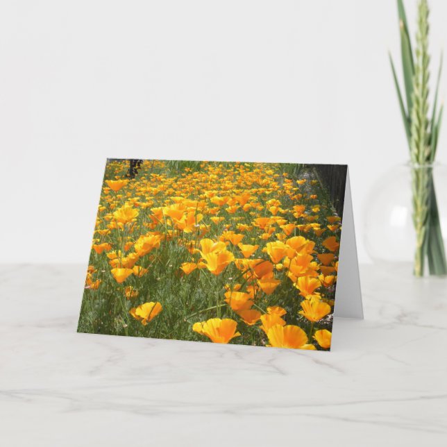 Tarjeta Campo de sueños (Anverso)