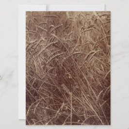 Tarjeta Campo de trigo (por Eugène Atget)