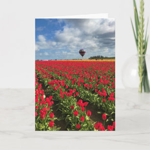 Tarjeta Campo de tulipán rojo con globo de aire caliente
