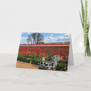 Tarjeta Campo de Tulipanes con Vaca de Juguete, Oregon