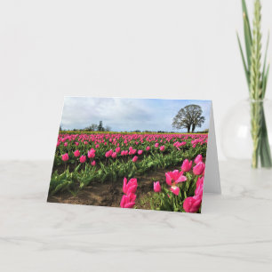 Tarjeta Campo de tulipanes rosados, Oregón