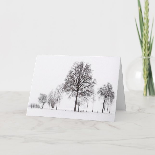 Tarjeta Campos alrededor de Scalenghe | Piamonte, Italia (Anverso)