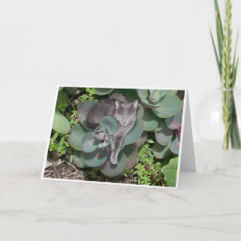 Tarjeta Camuflaje