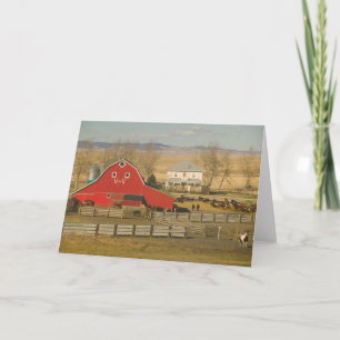 Tarjeta Canadá, Alberta, Pincher Creek: Red Barn & Ranch