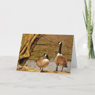 Tarjeta canadá geese002