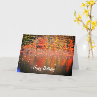 Tarjeta Canadá Geese En El Cumpleaños De La Naturaleza En