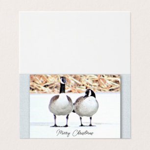 Tarjeta Canada Geese Two - Blank