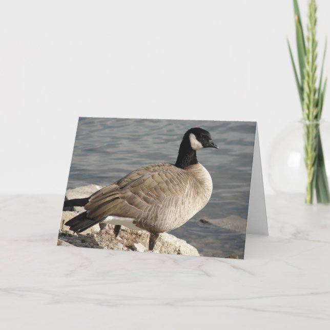 Tarjeta Canada Goose (Anverso)