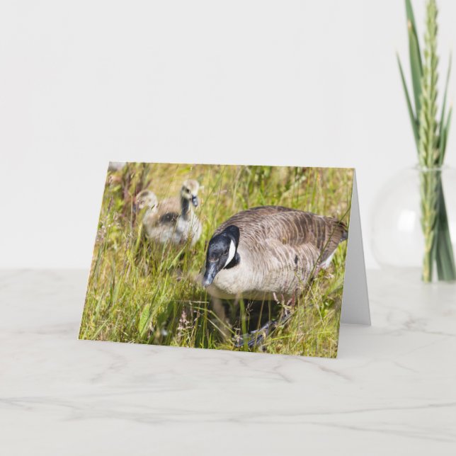 Tarjeta Canada Goose Note (Anverso)