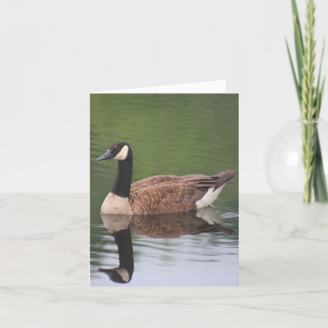 Tarjeta Canada Goose Reflections Nature Note (Anverso)