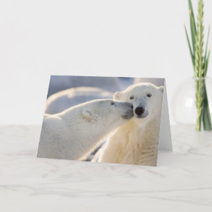 Tarjeta Canadá, Manitoba, Bahía de Hudson, Churchill.