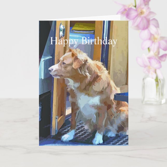 TARJETA CANAL BOATS (Orquídea)