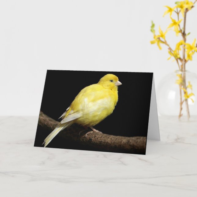 Tarjeta Canario amarillo personalizado (flor amarilla)