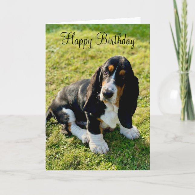 Tarjeta Canción de cachorros de Basset Hound (Anverso)