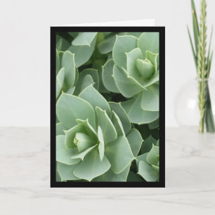 Tarjeta Canción de las floraciones del verde del