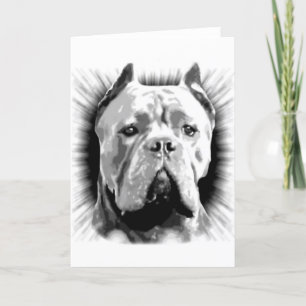 Tarjeta Cane Corso Dog