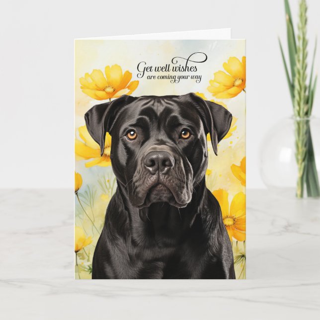 Tarjeta Cane Corso Dog Golden Poppies Get Well (Anverso)