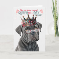 Cane Corso Dog Queen por el día de cumpleaños dive