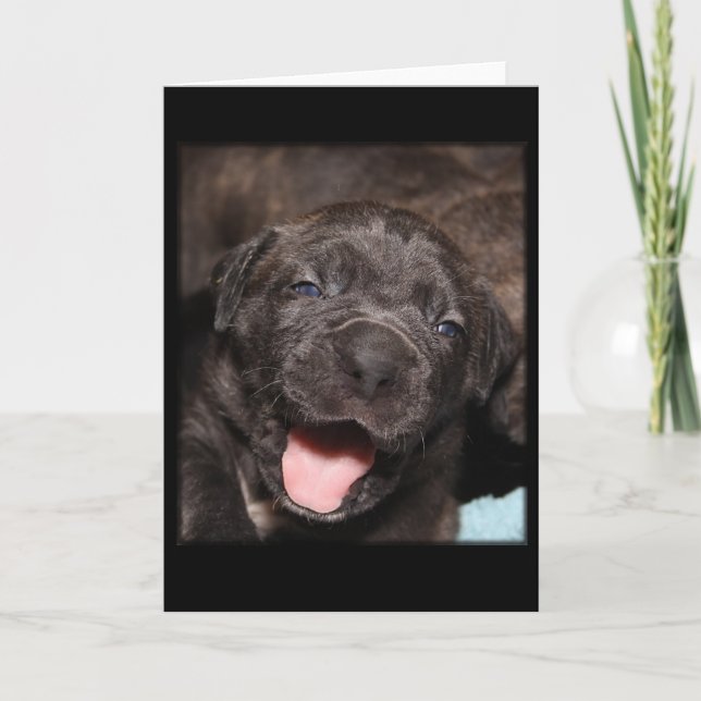Tarjeta Cane Corso Mastiff Puppy (Anverso)