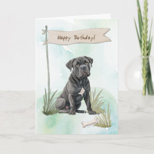 Tarjeta Cane Corso Raza Perro Al Aire Libre Bajo Rótulo De