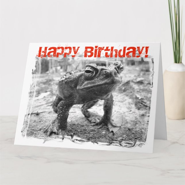 Tarjeta Cane Toad Australian Funny Giant Birthday Card (Anverso)