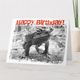 Tarjeta Cane Toad Australian Funny Giant Birthday Card