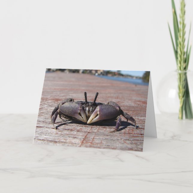 Tarjeta Cangrejo de barro pequeño (Anverso)