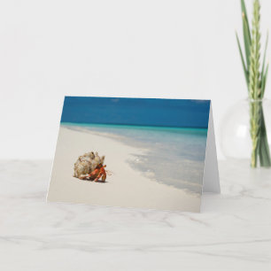 Tarjeta Cangrejo de ermitaño de la fresa el   Coenobita