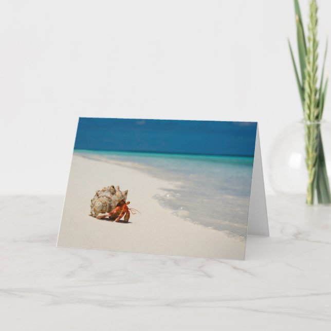 Tarjeta Cangrejo de ermitaño de la fresa el | Coenobita (Anverso)