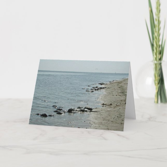 Tarjeta Cangrejos de herradura a lo largo de la playa (Anverso)
