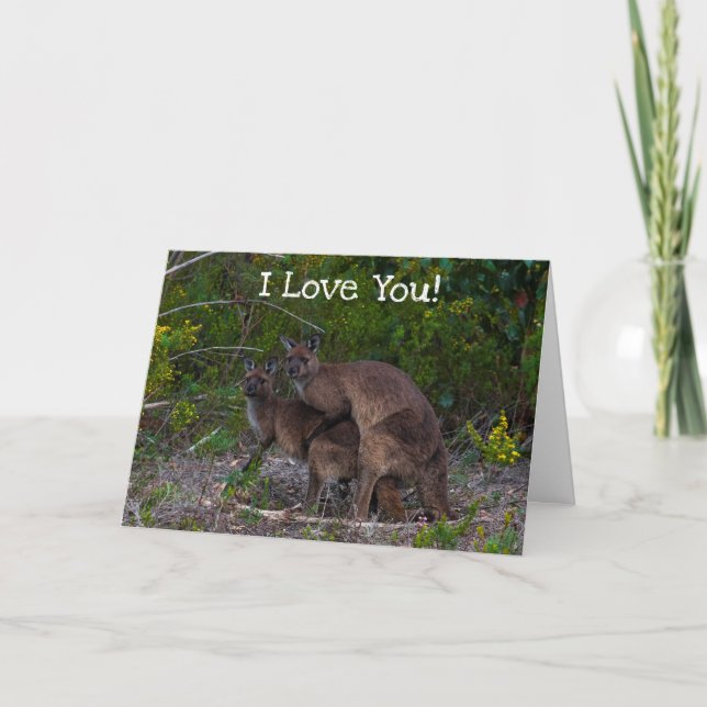 Tarjeta Canguro divertido que te amo (Anverso)