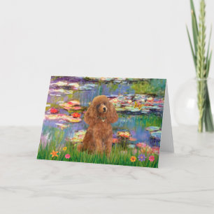 Tarjeta Caniche (Albaricoque 10) - Lirios 2