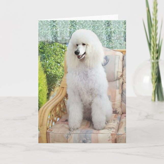 Tarjeta Caniche Blanco (Anverso)