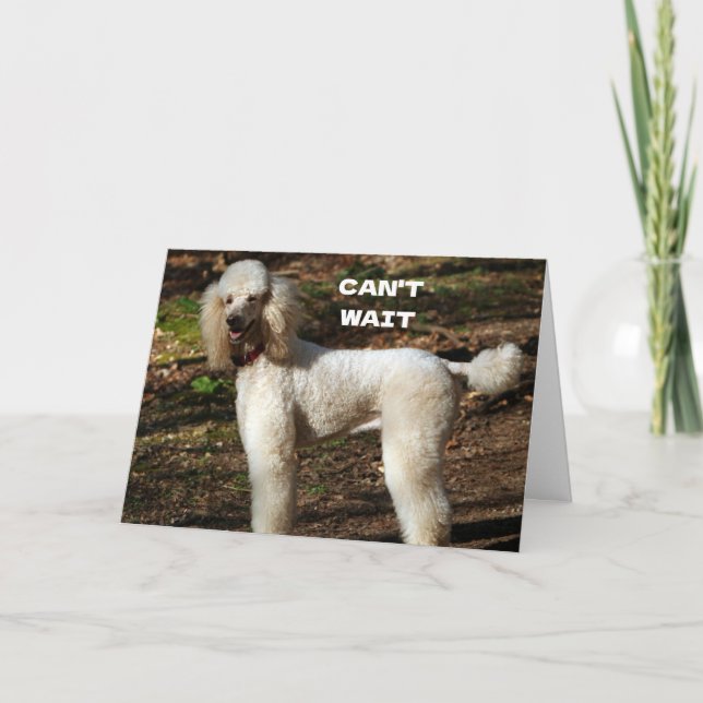 Tarjeta CANICHE ESTÁNDAR dice "FELIZ CUMPLEAÑOS 60" (Anverso)