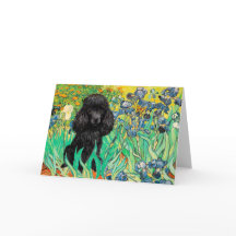 Caniche (negro 1) - Lirios