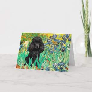 Tarjeta Caniche (negro 1) - Lirios