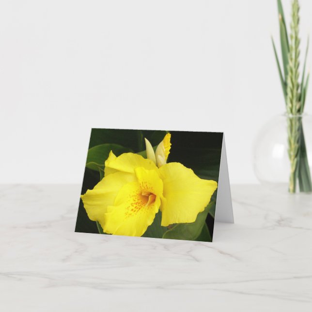 Tarjeta Canna amarillo (Anverso)