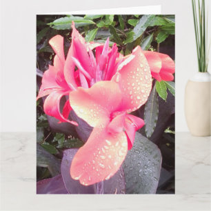 Tarjeta Canna Lily Photo BIG Card & Insp photo/words back