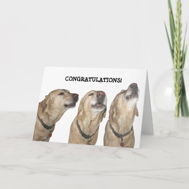 Tarjeta Cantando sus elogios (Anverso)