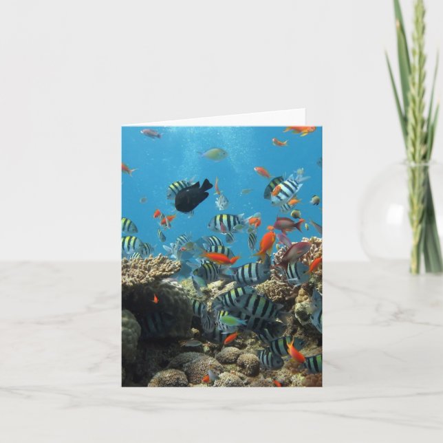 Tarjeta Caos de peces tropicales (Anverso)