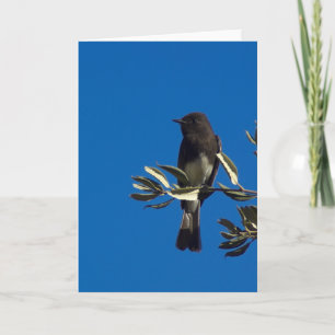 Tarjeta Capchero de vuelo