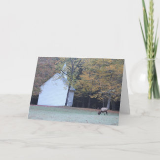 Tarjeta Capilla y alces de Palmer