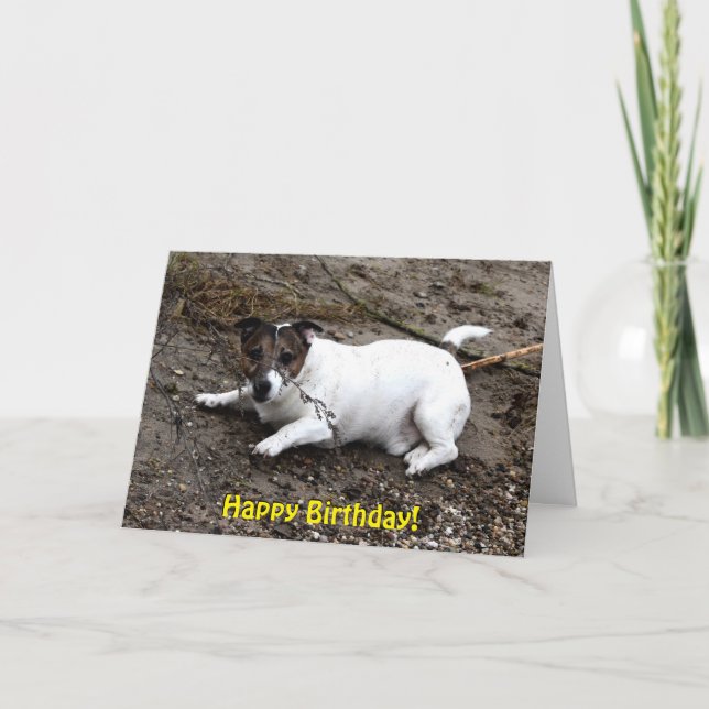 Tarjeta Capo von Oppenheim Jack Russell Terrier, Perro (Anverso)