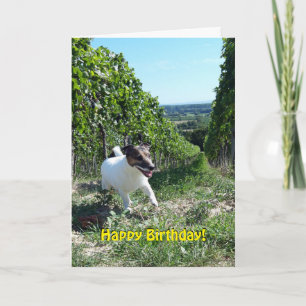 Tarjeta Capo von Oppenheim Jack Russell Terrier, Perro